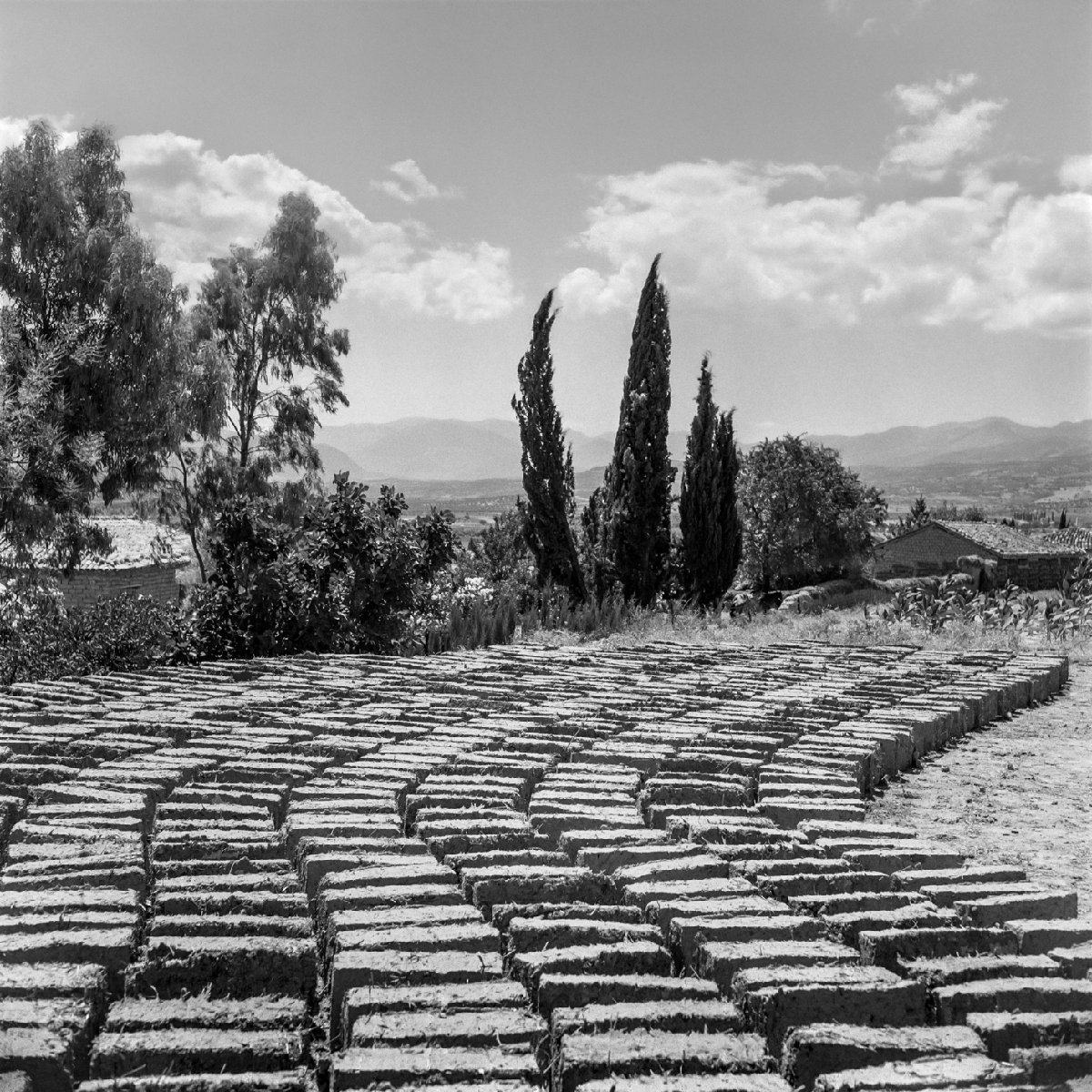 6·25전쟁 그리스 참전용사 70주년 기념사진전 전시물 (7)